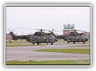 Cougar RNLAF S-442 on 22 February 2008