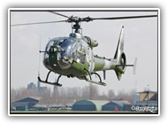 Gazelle AH.1 AAC XZ291 on 31 March 2008