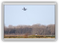 F-16AM BAF FA132 on 07 January 2013_4