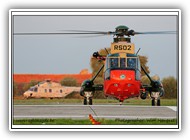 Seaking BAF RS02_1