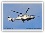 Wildcat AH1 AAC ZZ391 on 03 November 2020