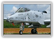 A-10A USAFE 82-0654 SP