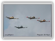 Strikemaster Viper Team