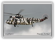 Sea King HC.4 RN ZF115 R_1