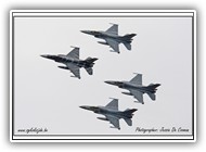 Tiger formation_1