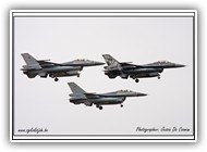 Tiger formation_3