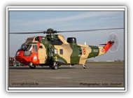 Sea King RS04_1