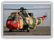 Sea King RS04_2